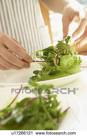 Woman making salad, close up View Large Photo Image Stock Image - Woman making salad, close up. Fotosearch