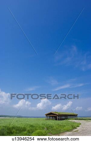 Picture - Wooden building in field. Fotosearch