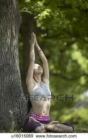 Young Woman Doing A Stretching Exercise Under Tree View Large Photo Image Stock Photo - Young Woman Doing A Stretching Exercise Under Tree. Fotosearch