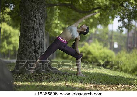 Young Woman Doing A Stretching Exercise Under Tree View Large Photo Image Stock Photograph - Young Woman Doing A Stretching Exercise Under Tree. Fotosearch