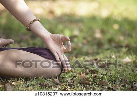 Young woman doing yoga at a park View Large Photo Image Stock Photo - Young woman doing yoga at a park. Fotosearch