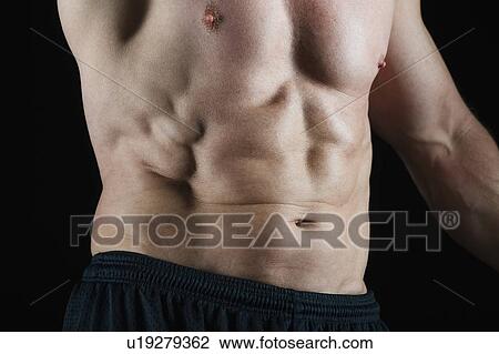 Abs of muscular man View Large Photo Image Stock Image - Abs of muscular man. Fotosearch