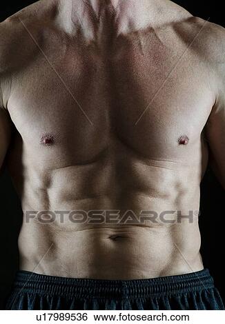 Stock Photograph - Abs on a muscular man. Fotosearch