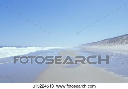 Beach at Cape Cod View Large Photo Image Stock Image - Beach at Cape Cod. Fotosearch