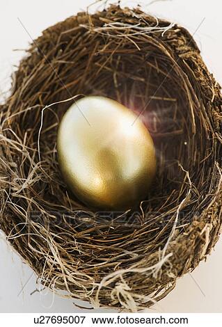 Bird's eggs in a nest View Large Photo Image Stock Photo - Bird's eggs in a nest. Fotosearch