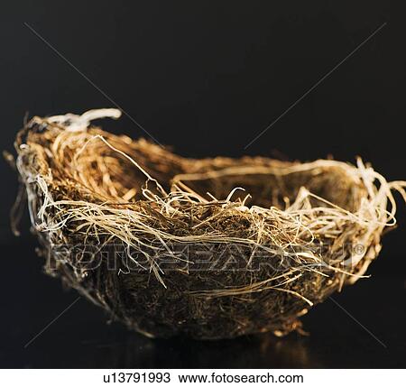 Bird's nest View Large Photo Image Stock Image - Bird's nest. Fotosearch