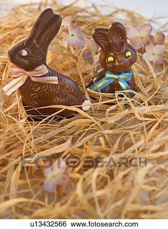Chocolate Easter bunnies View Large Photo Image Stock Photograph - Chocolate Easter bunnies. Fotosearch