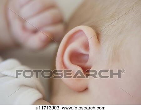 Stock Image - Ear of an infant. Fotosearch