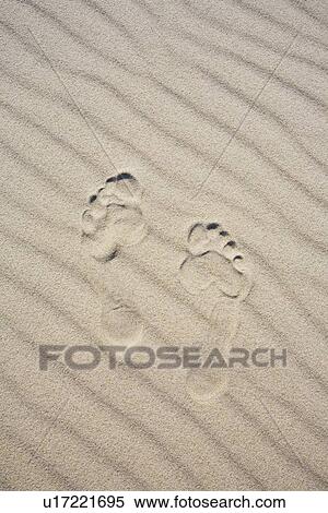 Footprints in the sand View Large Photo Image Stock Photography - Footprints in the sand. Fotosearch