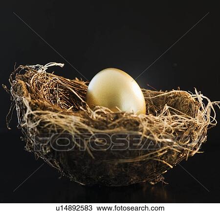 Stock Image - Golden egg in a bird nest. Fotosearch