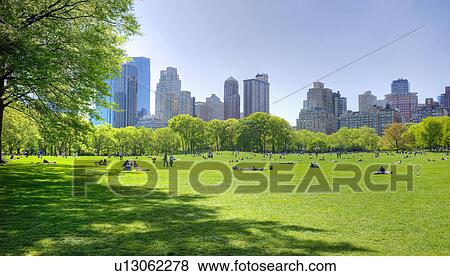 Stock Photo - Great lawn in Central Park. Fotosearch