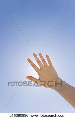 Hand held up in front of sunshine View Large Photo Image Stock Photograph - Hand held up in front of sunshine. Fotosearch