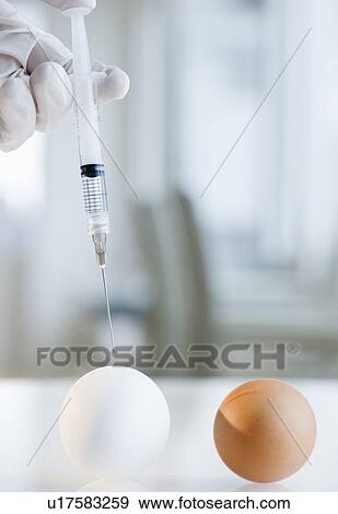Stock Photo - Hand putting syringe in egg. Fotosearch