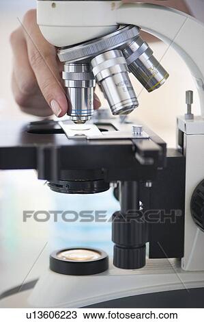Stock Image - Hands on a microscope. Fotosearch