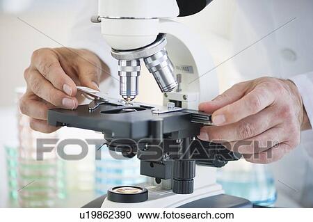 Stock Image - Hands on a microscope. Fotosearch