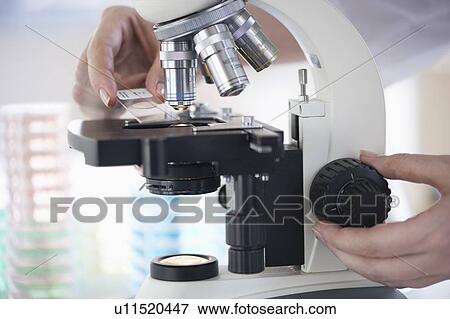 Stock Photo - Hands on a microscope. Fotosearch