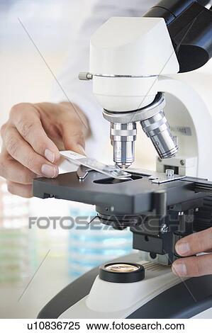 Stock Photography - Hands on a microscope. Fotosearch