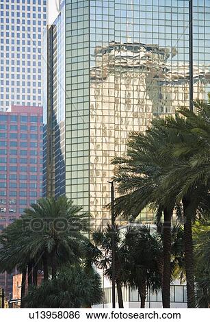 High-rise buildings and palm trees in New Orleans View Large Photo Image Stock Photograph - High-rise buildings and palm trees in New Orleans. Fotosearch