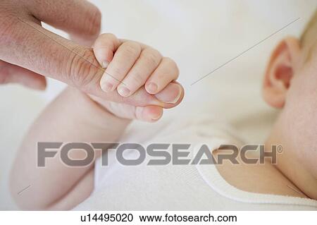 Infant holding onto adult's finger View Large Photo Image Stock Image - Infant holding onto adult's finger. Fotosearch