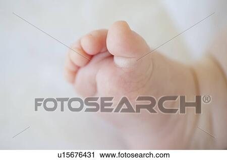 Infant's foot View Large Photo Image Stock Image - Infant's foot. Fotosearch