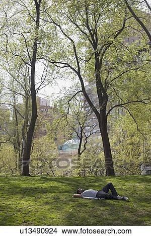 Man lying on the grass in Central Park View Large Photo Image Picture - Man lying on the grass in Central Park. Fotosearch