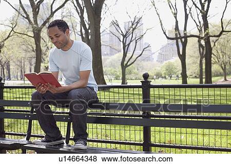 Man sitting on bench reading book in Central Park View Large Photo Image Stock Photo - Man sitting on bench reading book in Central Park. Fotosearch