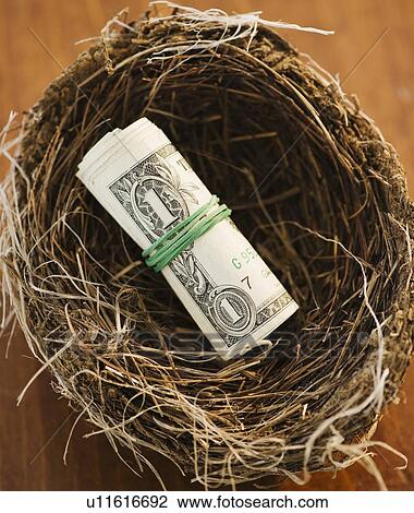 Money in a bird nest View Large Photo Image Stock Image - Money in a bird nest. Fotosearch