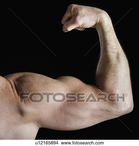 Muscular man flexing his bicep View Large Photo Image Picture - Muscular man flexing his bicep. Fotosearch