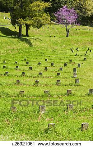 National Cemetery at Vicksburg National Military Park View Large Photo Image Stock Image - National Cemetery at Vicksburg National Military Park. Fotosearch