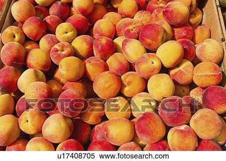 Stock Photography - Peaches. Fotosearch