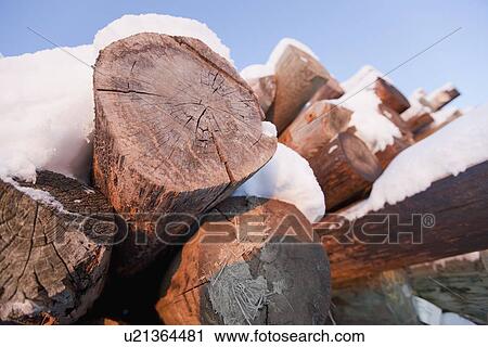 Pile of logs covered in snow View Large Photo Image Stock Image - Pile of logs covered in snow. Fotosearch