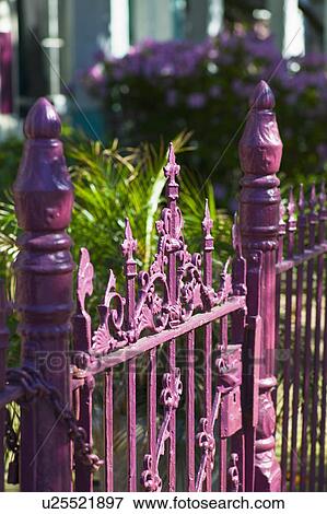 Pink iron fence View Large Photo Image Stock Photo - Pink iron fence. Fotosearch
