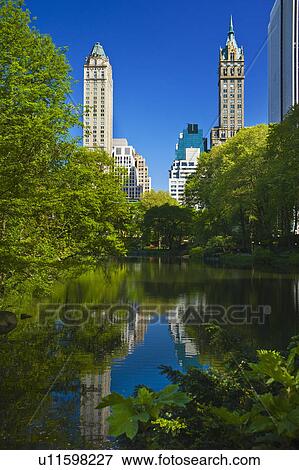 Pond in Central Park New York City View Large Photo Image Stock Photo - Pond in Central Park New York City. Fotosearch