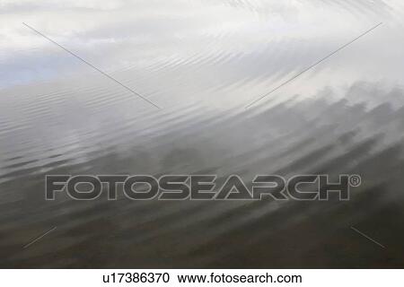 Stock Image - Ripples in water. Fotosearch