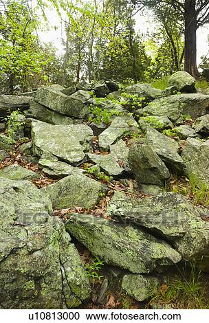 Rocks in Ward Pound Ridge Reservation View Large Photo Image Stock Image - Rocks in Ward Pound Ridge Reservation. Fotosearch