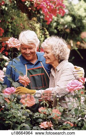 Senior couple gardening together View Large Photo Image Picture - Senior couple gardening together. Fotosearch