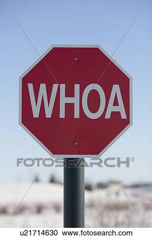 Stop sign with the word WHOA on it View Large Photo Image Stock Image - Stop sign with the word WHOA on it. Fotosearch