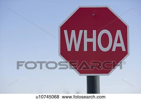 Stock Photo - Stop sign with the word WHOA on it. Fotosearch