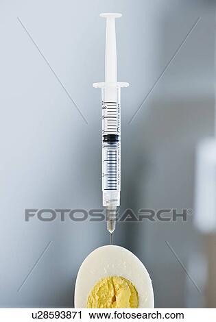 Stock Image - Syringe in a sliced egg. Fotosearch