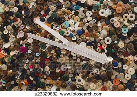 Zipper on top of a pile of buttons View Large Photo Image Stock Image - Zipper on top of a pile of buttons. Fotosearch