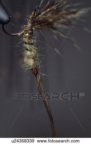 Close-Up Of Fly Fishing Lure View Large Photo Image Stock Photo - Close-Up Of Fly Fishing Lure. Fotosearch