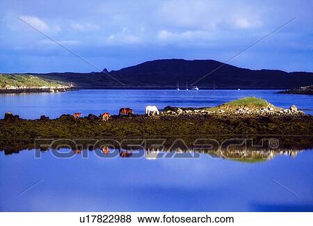 Stock Photo - Co Galway, Connemara, Clifden Bay. Fotosearch