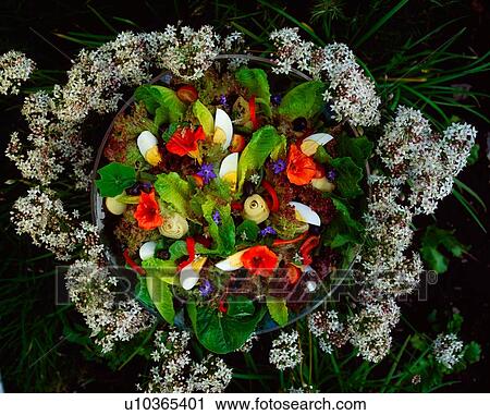 Stock Image - Mixed Leaf And Vegetable Salad. Fotosearch
