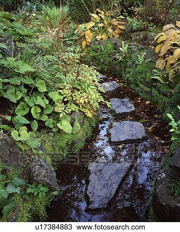 Stepping Stones In The Japanese Gardens, County Kildare, Ireland View Large Photo Image Stock Image - Stepping Stones In The Japanese Gardens, County Kildare, Ireland. Fotosearch