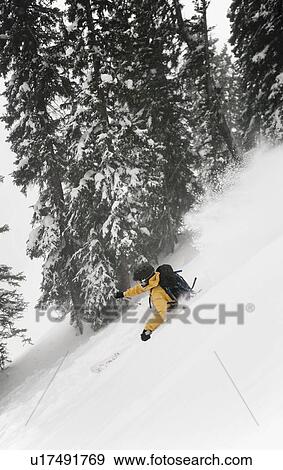 Stock Photo - Alpine skier. Fotosearch