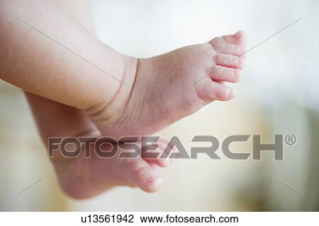Baby's feet View Large Photo Image Stock Image - Baby's feet. Fotosearch