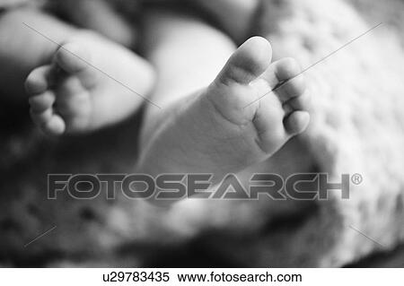 Stock Photography - Baby's feet. Fotosearch