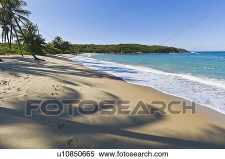 Stock Photography - Beach in the Caribbean. Fotosearch