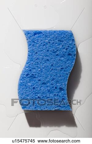 Stock Photography - Blue sponge. Fotosearch