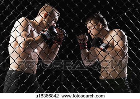 Stock Image - Cage fighters. Fotosearch